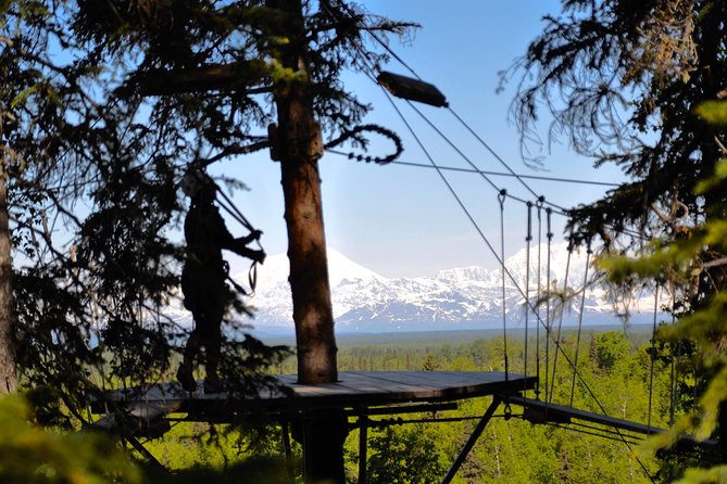 Denali Zipline Tour in Talkeetna, AK - Nine ziplines, from tree-to-tree to open views