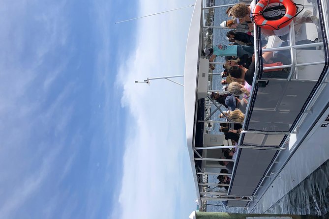 Destin Dolphin Cruise - Crab Island and the beach route