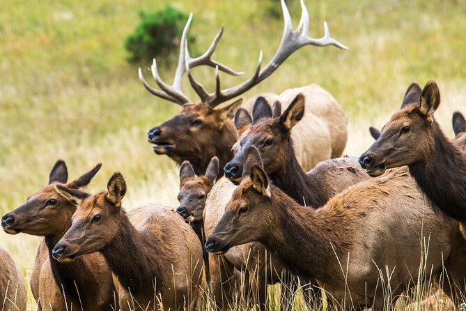 Discover Rocky Mountain National Park - Winter, summer, and changing road conditions