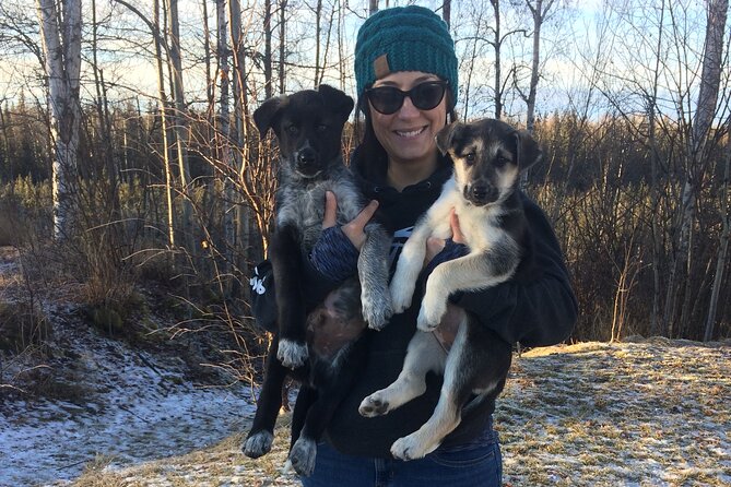 Dog Sledding Adventure in Willow, Alaska - Staying warm for the full 90 minutes