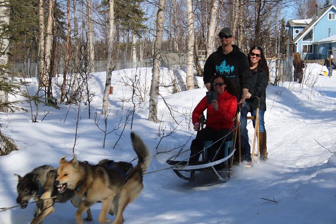 Dog Sledding Adventure in Willow, Alaska - What the $175 price buys you