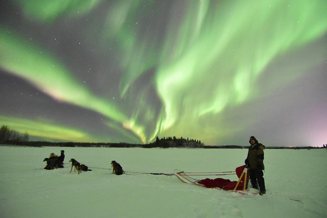 Dog Sledding and Mushing Experience in North Pole - Why the private format matters
