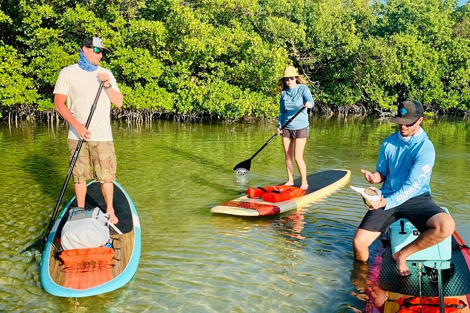 Dolphin and Manatee Adventure Tour of Fort Myers - The Fort Myers Beach Stop and Shell Search
