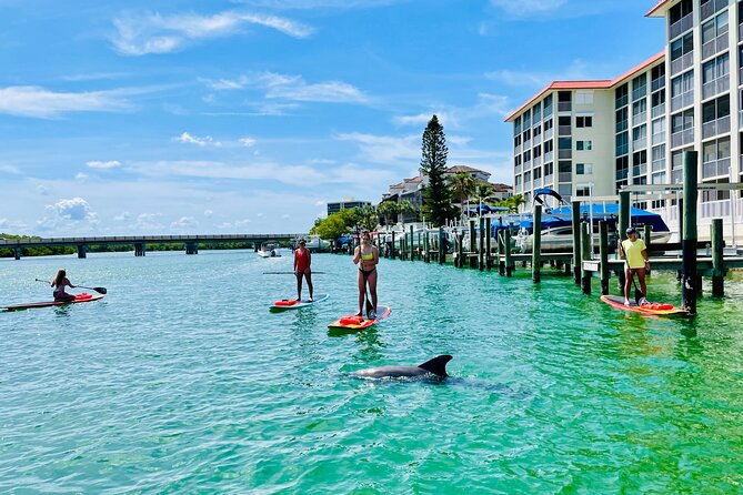Dolphin and Manatee Adventure Tour of Fort Myers - How Difficult Is the Paddleboarding?