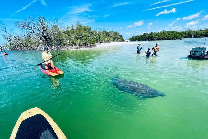 Dolphin and Manatee Adventure Tour of Fort Myers - Group Size, Timing, and Weather