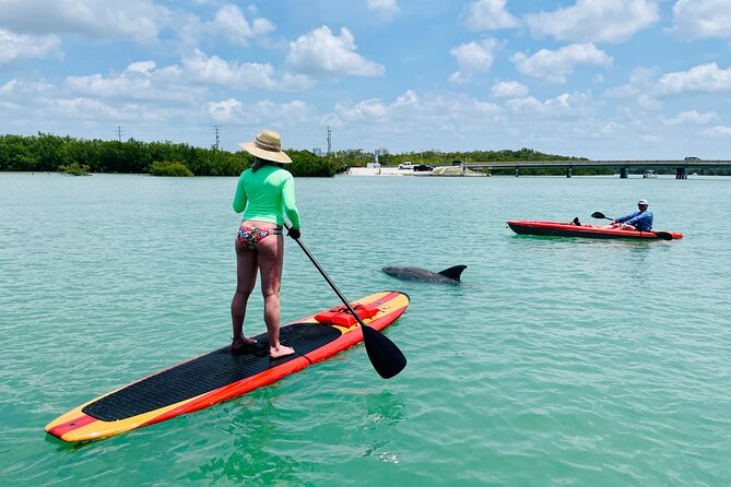 Dolphin and Manatee Adventure Tour of Fort Myers - Is $65 a Fair Price?