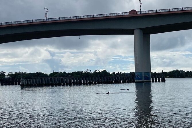 Dolphin and Manatee Stand Up Paddleboard Tour in Daytona Beach - A calm start at Three Brothers Boards
