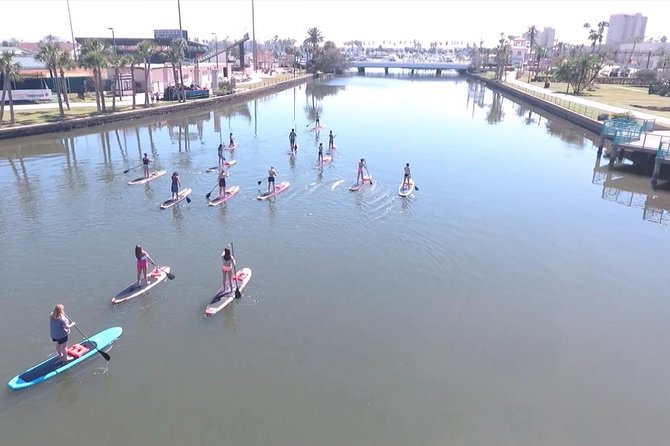 Dolphin and Manatee Stand Up Paddleboard Tour in Daytona Beach - Why the early morning slots make sense