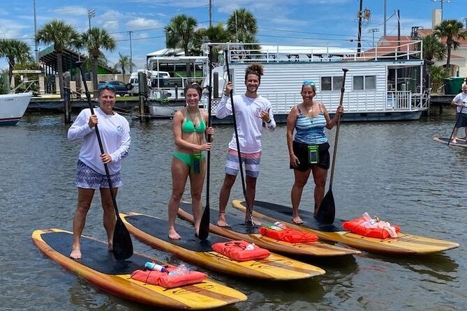 Dolphin and Manatee Stand Up Paddleboard Tour in Daytona Beach - What the guides add to the outing