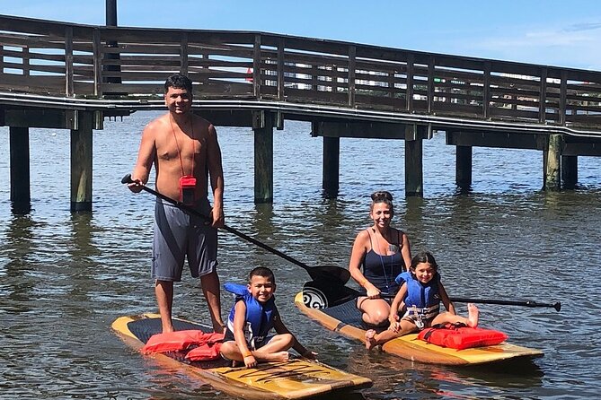 Dolphin and Manatee Stand Up Paddleboard Tour in Daytona Beach - Around the island and beneath seven bridges