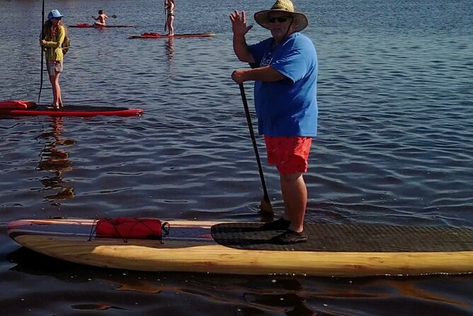 Dolphin, Manatee and SeaTurtle SUP Adventure Tour of St Augustine - How likely are dolphins, turtles, and manatees?