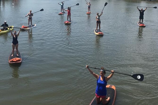 Dolphin, Manatee and SeaTurtle SUP Adventure Tour of St Augustine - What $65 gets you