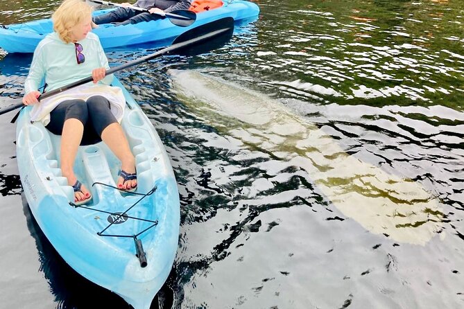 Dolphin, Manatee and SeaTurtle SUP Adventure Tour of St Augustine - Weather, cancellations, and practical limits
