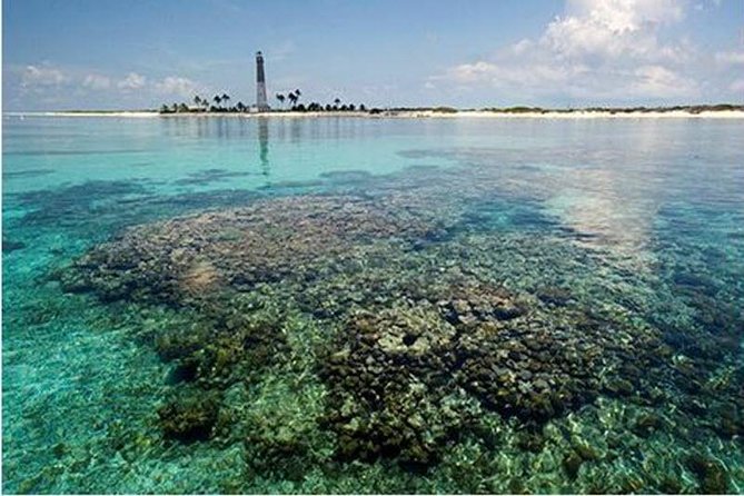 Dry Tortugas National Park Day Trip by Catamaran from Key West - What to pack for the Yankee Freedom III
