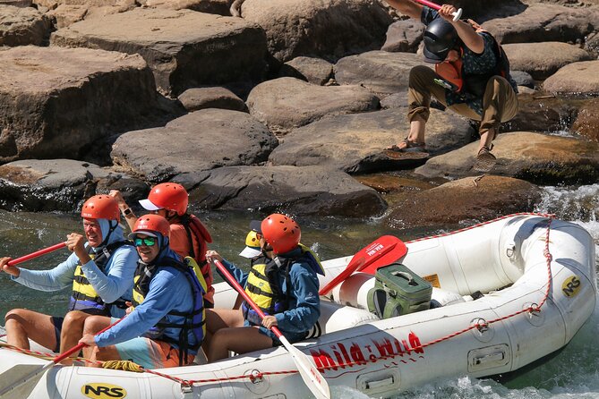 Durango 1/4 Day Rafting Trip - Lower Animas River - A Short Rafting Trip With Real River Action