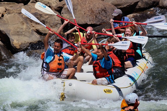 Durango Half Day Rafting Trip - Lower Animas River - Key things to know before you book