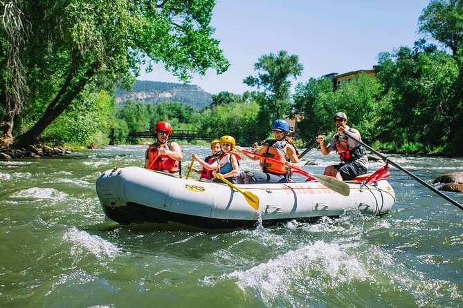Durango Half Day Rafting Trip - Lower Animas River - Train Bridge Rapid and Baby Smelter