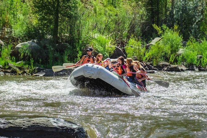 Durango Half Day Rafting Trip - Lower Animas River - Smelter Rapid brings the main burst of action