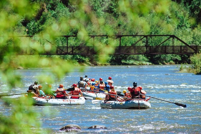 Durango Half Day Rafting Trip - Lower Animas River - What the $107.91 price buys you