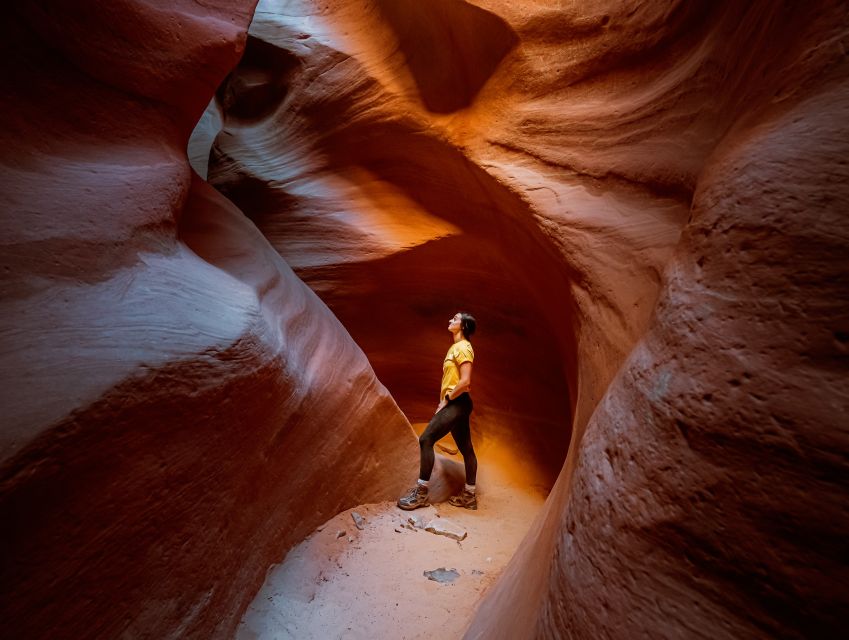East Zion: Crimson Slot Canyon Exploration and UTV Tour - The UTV ride is part of the adventure