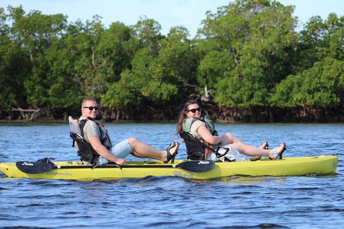 Easy Ride Pedal Kayak Tour Marco Island & Naples (Pedal or Paddle - How much value does the tour offer?
