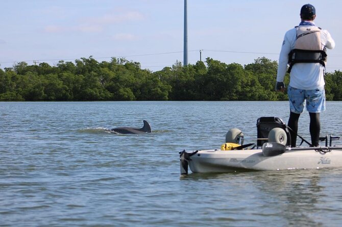 Easy Ride Pedal Kayak Tour Marco Island & Naples (Pedal or Paddle - Who should book this Marco Island kayak tour?