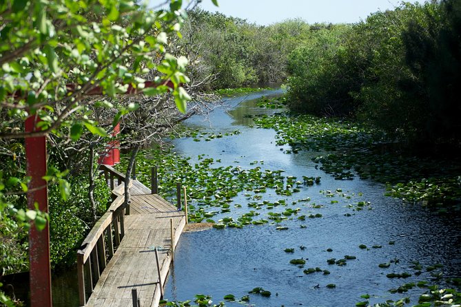 Everglades Airboat, Wildlife Show, and Roundtrip Bus From Miami - Practical tips for a smoother outing