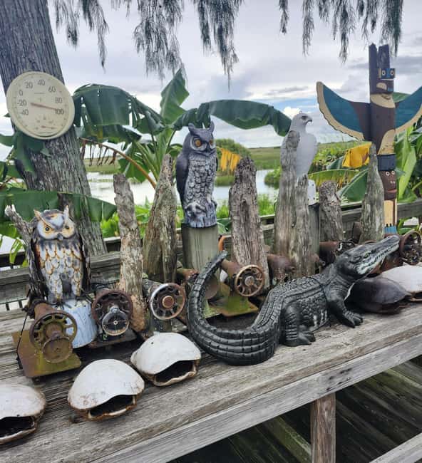 Everglades Eco Airboat Small-Group Tour & 2 Private Islands - What changing water levels mean for your day