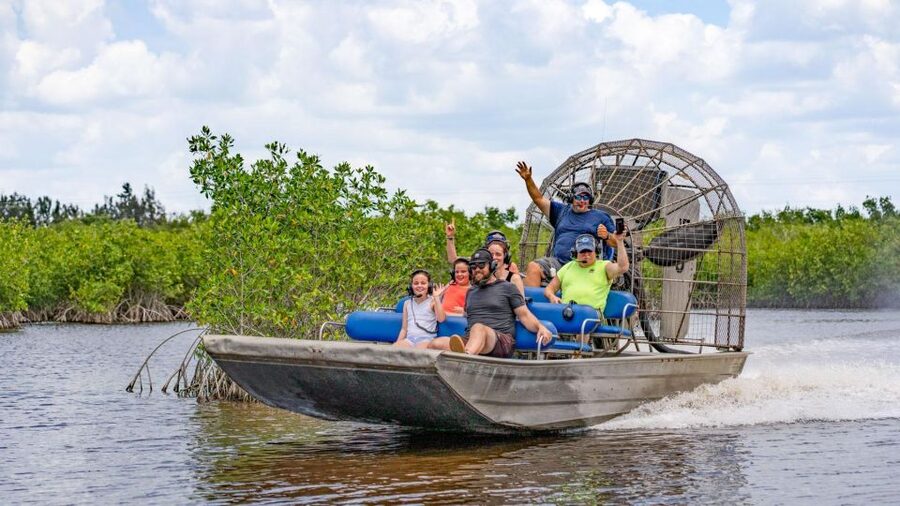 Everglades: Mangrove Maze Airboat Tour and Boardwalk - A noisy, narrow-channel introduction to the Everglades