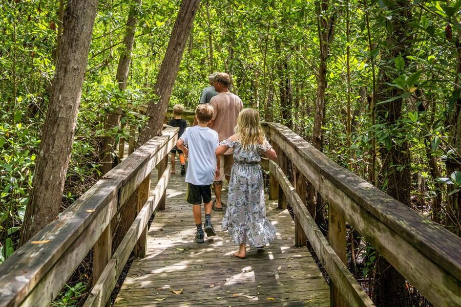 Everglades: Mangrove Maze Airboat Tour and Boardwalk - How the weather and season change the experience