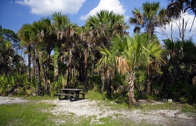 Everglades National Park Biologist Led Adventure: Cruise, Hike + Airboat - Why this full-day Everglades trip is worth considering
