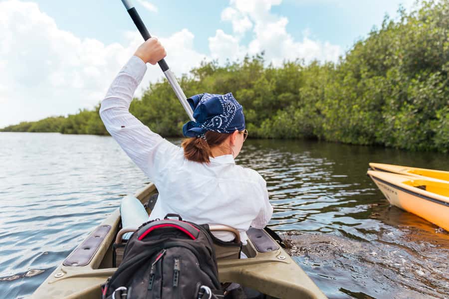 Everglades National Park: Mangrove Tunnel Kayak Eco-Tour - Key points to know before you paddle