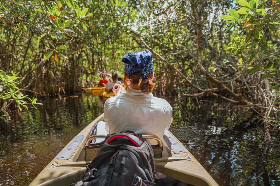 Everglades National Park: Mangrove Tunnel Kayak Eco-Tour - Entering the mangrove tunnels