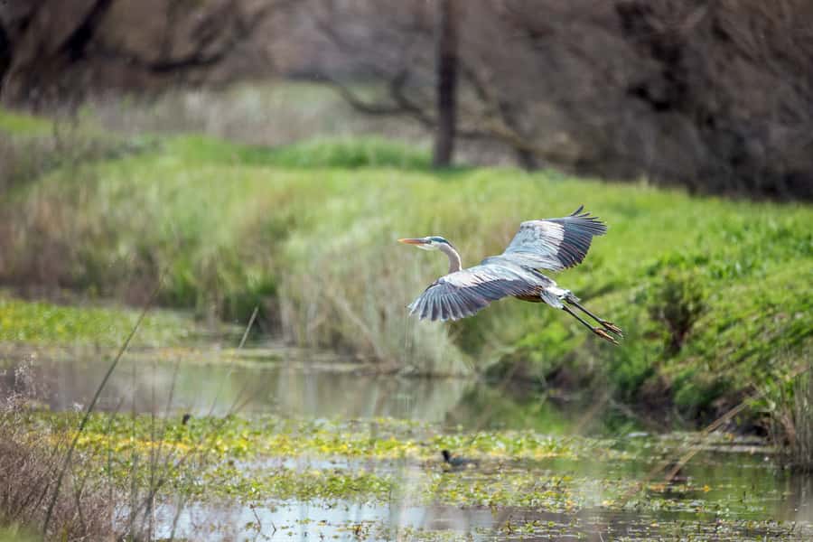 Everglades National Park: Mangrove Tunnel Kayak Eco-Tour - Booking details worth knowing