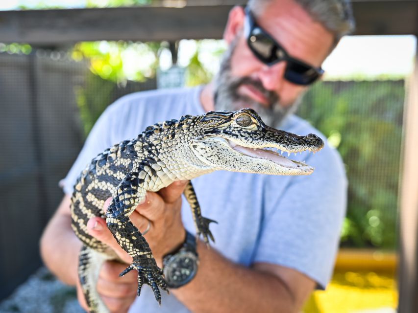 Everglades: Sawgrass Park Day Time Airboat Tour & Exhibits - The 40-minute airboat ride