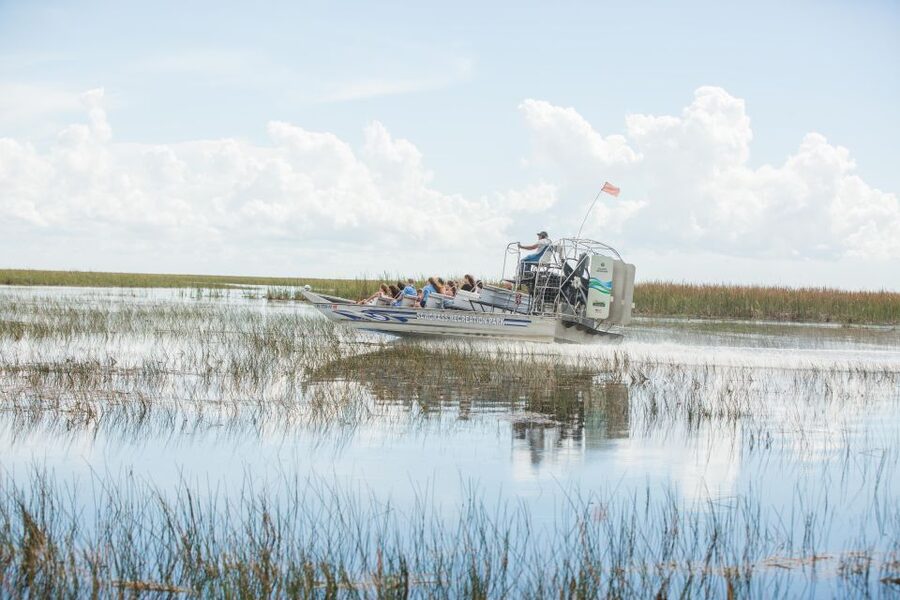 Everglades: Sawgrass Park Day Time Airboat Tour & Exhibits - Wildlife sightings depend on luck and timing