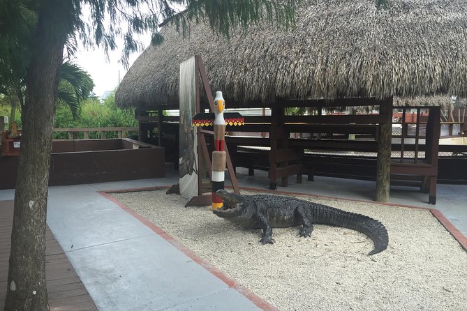 Everglades Small-Group Tour from Miami with Transportation - What this Miami Everglades tour really offers