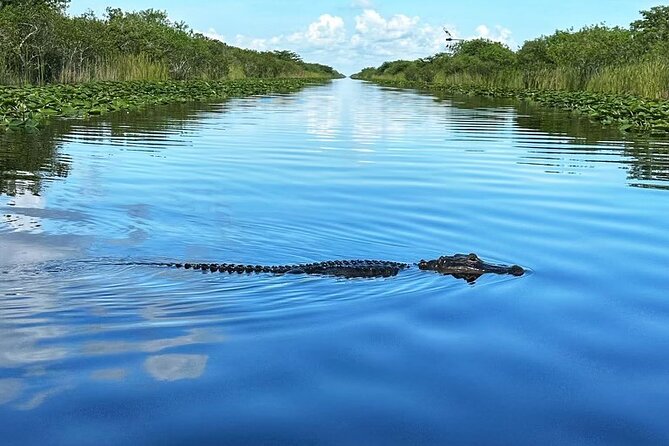 Everglades Small-Group Tour from Miami with Transportation - The airboat ride: the main event