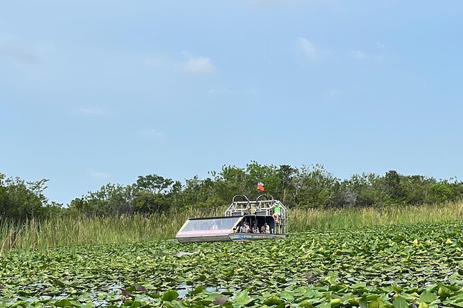 Everglades Small-Group Tour from Miami with Transportation - The alligator presentation and park time