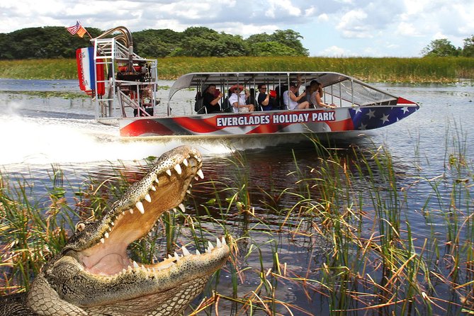 Everglades VIP Airboat Tour with Transportation Included - Practical advice before you go