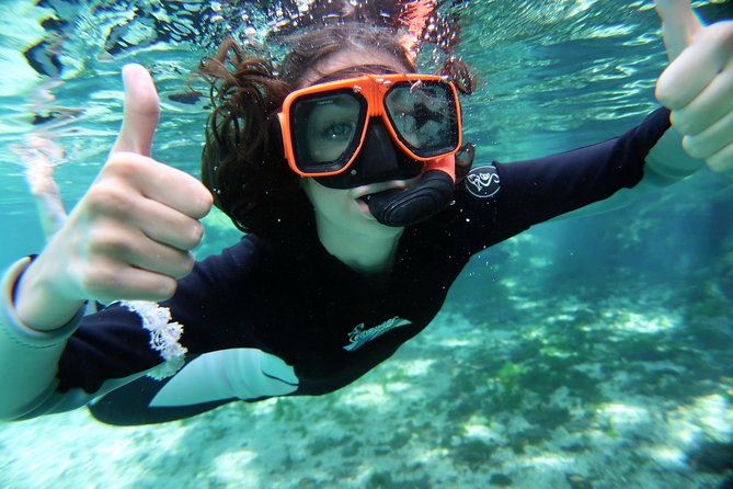 Exclusive Small Group VIP Heated Manatee Snorkel Tour - The guides are part of the value