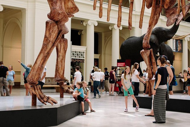 Field Museum of Natural History Admission Tickets - Egyptian mummies and ancient writing