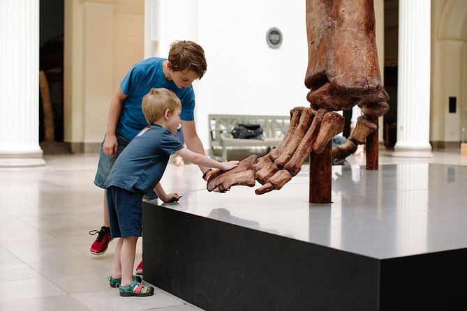 Field Museum of Natural History Admission Tickets - 13,000 years in the Ancient Americas