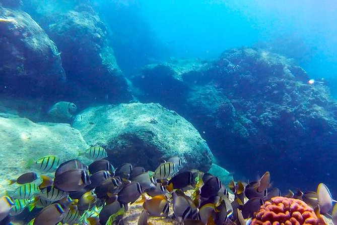 First-Time Scuba Diving in Honolulu + Free Videos - What the Magic Island Lagoon setting means for beginners