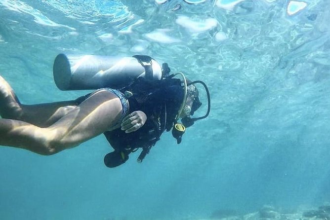 First-Time Scuba Diving in Honolulu + Free Videos - Who will enjoy this Honolulu activity most