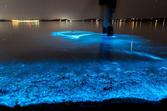 Florida Bioluminescence Kayaking Tour (Titusville) - Blue Water in the Dark at Haulover Canal