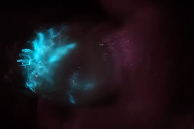 Florida Bioluminescence Kayaking Tour (Titusville) - Is $65 a Fair Price?