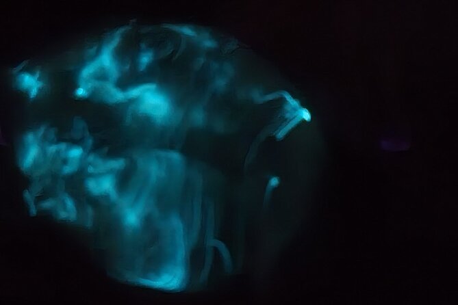 Florida Bioluminescence Kayaking Tour (Titusville) - Who Should Book This Tour?