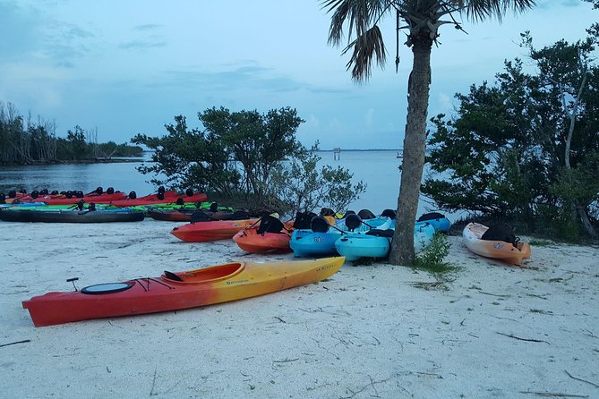 Florida Bioluminescence Kayaking Tour (Titusville) - Should You Book It?