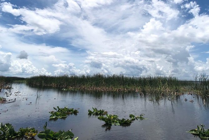 Florida Everglades Airboat Tour and Wild Florida Admission with Optional Lunch - Choosing between 30 minutes and one hour